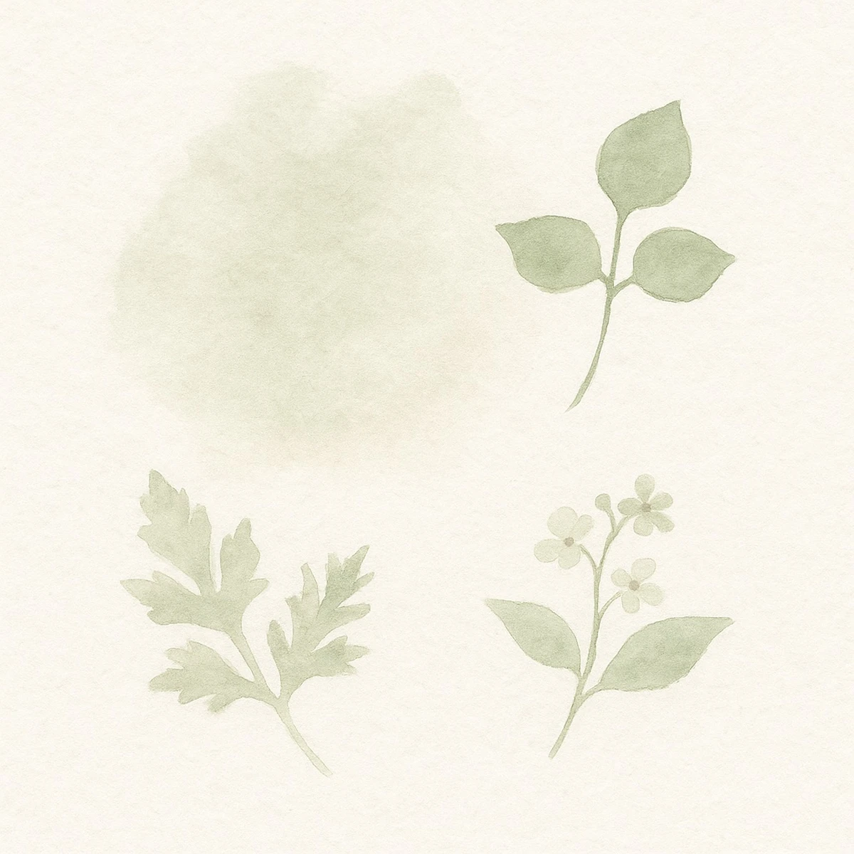 日本の素材のイメージ