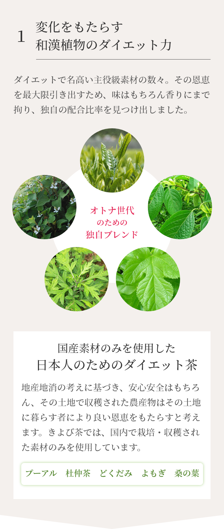 変化をもたらす和漢植物のダイエット力。ダイエットで名高いプーアル茶・杜仲茶・ドクダミ茶・よもぎ茶・桑の葉茶といった主役級素材の数々を独自の配合率でブレンドした、大人世代のためのダイエット茶です。